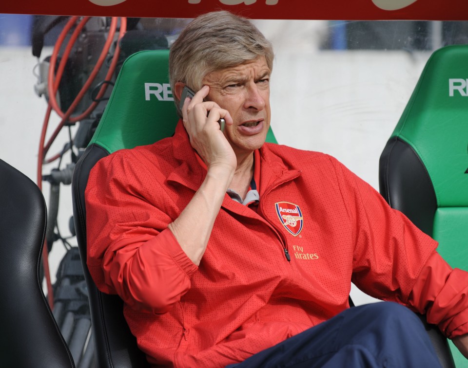 Gunners boss Arsene Wenger is belived to be keen on a deal for his compatriot