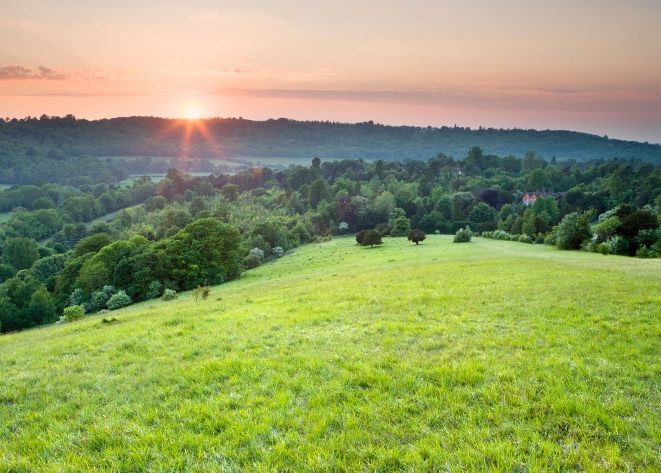  Not all of the green belt looks like this - some of it could, and should, easily be built on