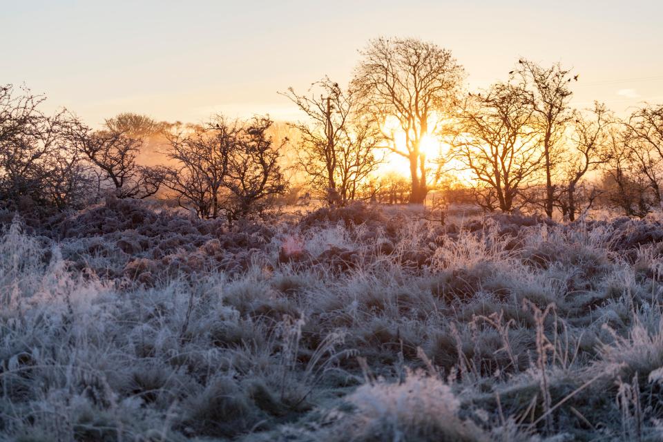  Temperatures dropped in Flintshire, Wales, but could a white Christmas be on the cards?