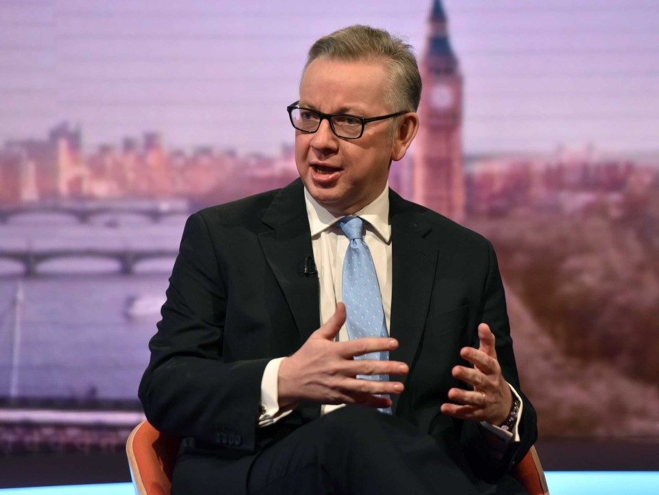  Brexit backing Tory Michael Gove warned against 'over-complicating' our EU exit