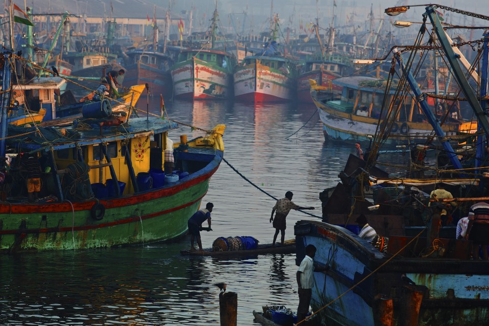 Busy Kasimedu fishing harbor In Chennai.