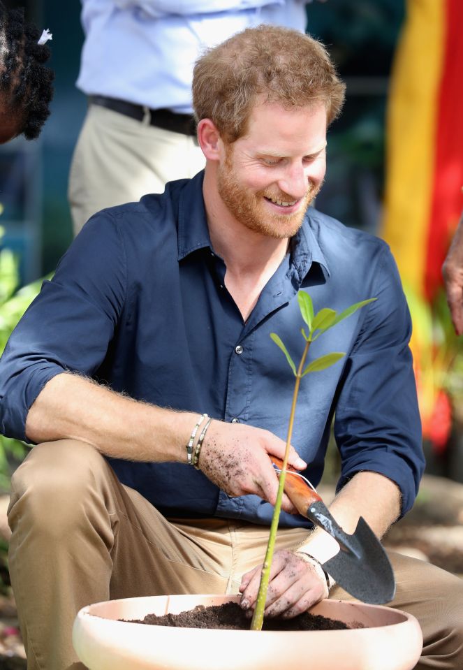 Prince Harry visit to the Caribbean - Day Nine