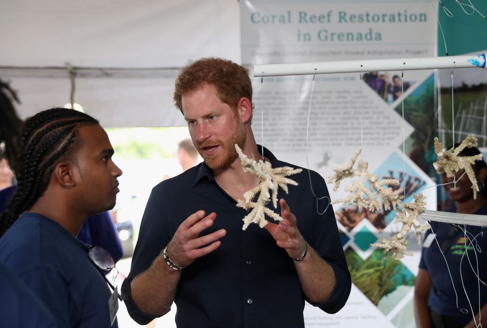  The royal was welcomed to Grenada this morning, where he visited the Coral Restoration Project