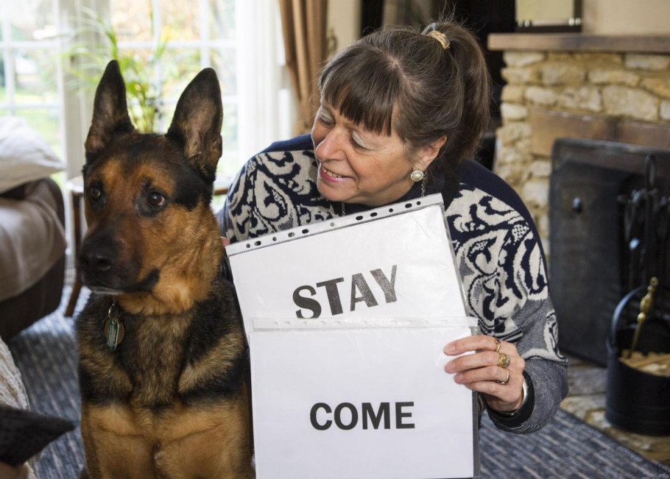  Sharon was inspired to teach Rufus to read after watching a TV documentary about it