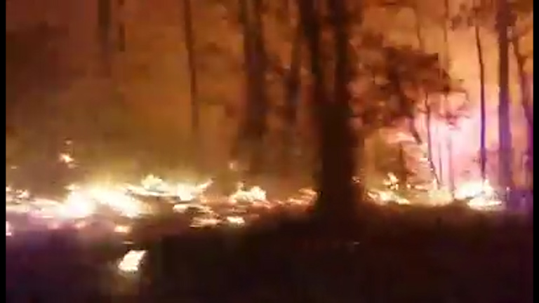  The forest is burning around the car as its passengers try to drive to safety