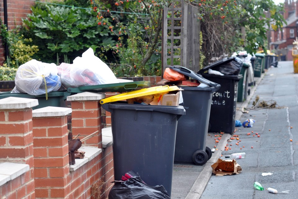  Residents complained that the lack of streetlights means they would have to dodge potholes in the dark to take bins to the end of the road