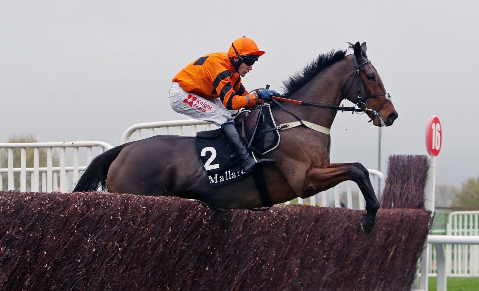  Thistlecrack made a few mistakes at Cheltenham on his last start