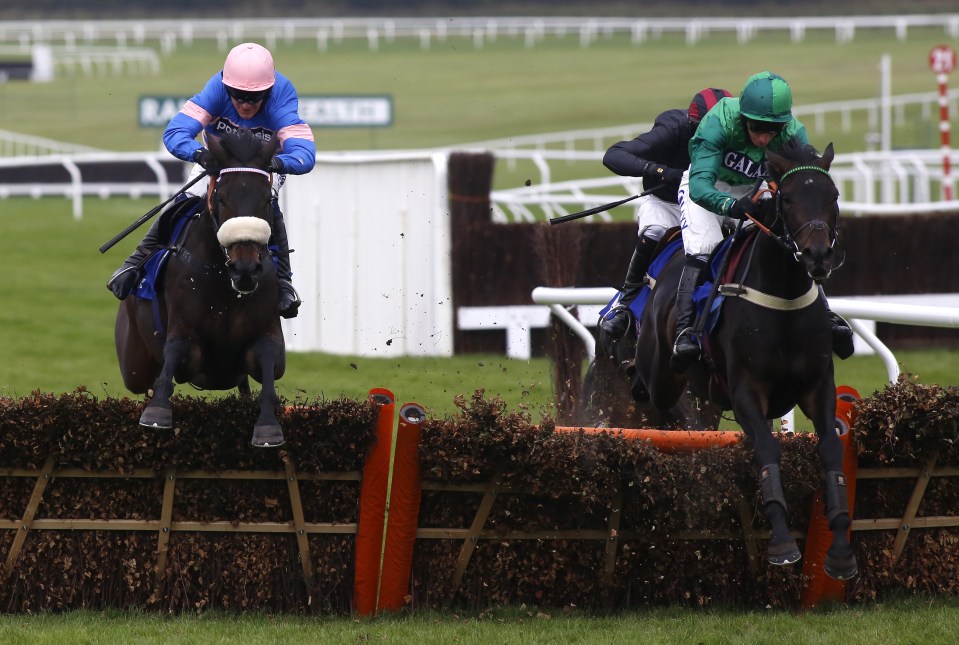  Sceau Royal (right) made a good impression on his chasing debut