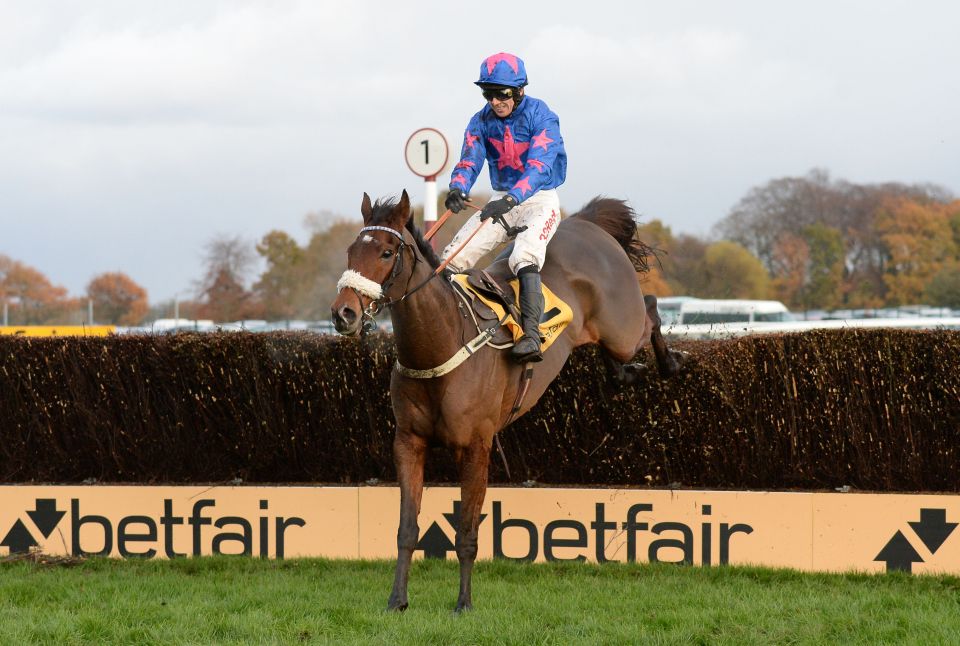  Cue Card bounced back to form at Haydock