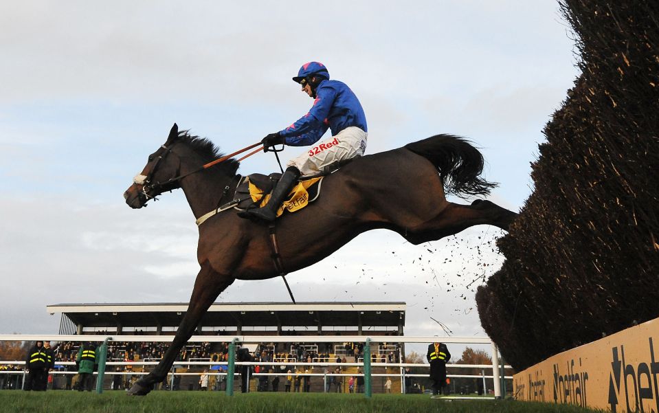  Cue Card was a narrow winner of the Grade 1 last year