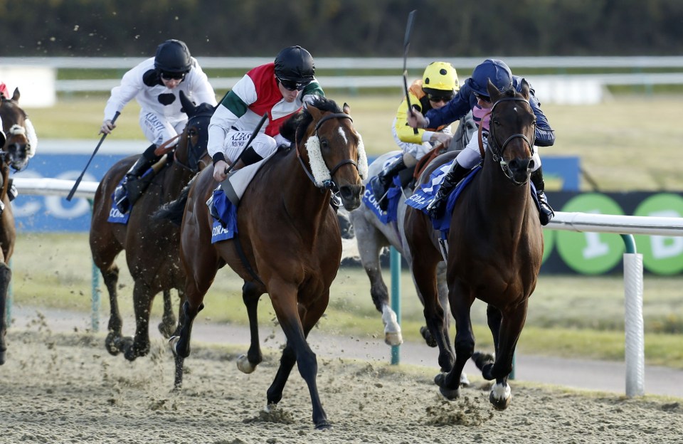  Grendisar (left) has been beaten on his two starts this season