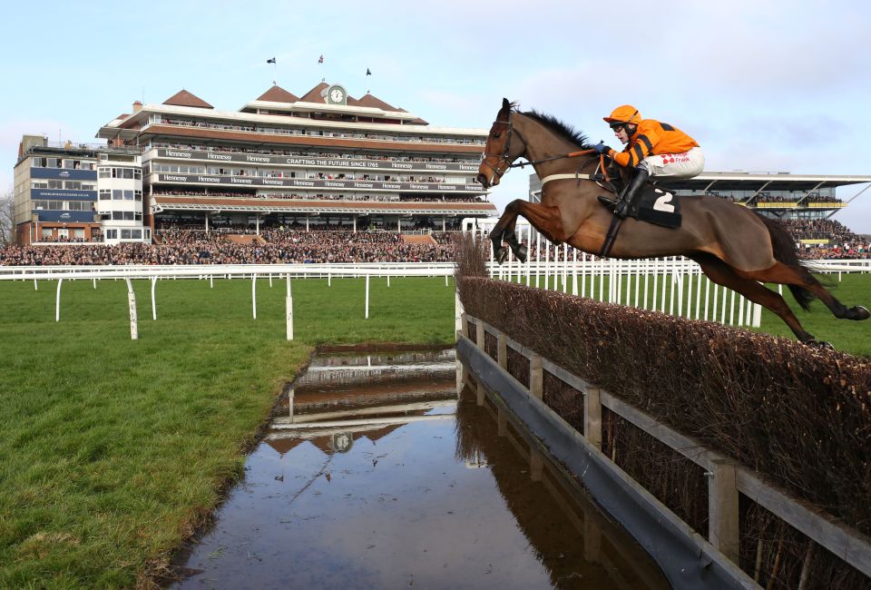  Thistlecrack has picked up a tendon injury