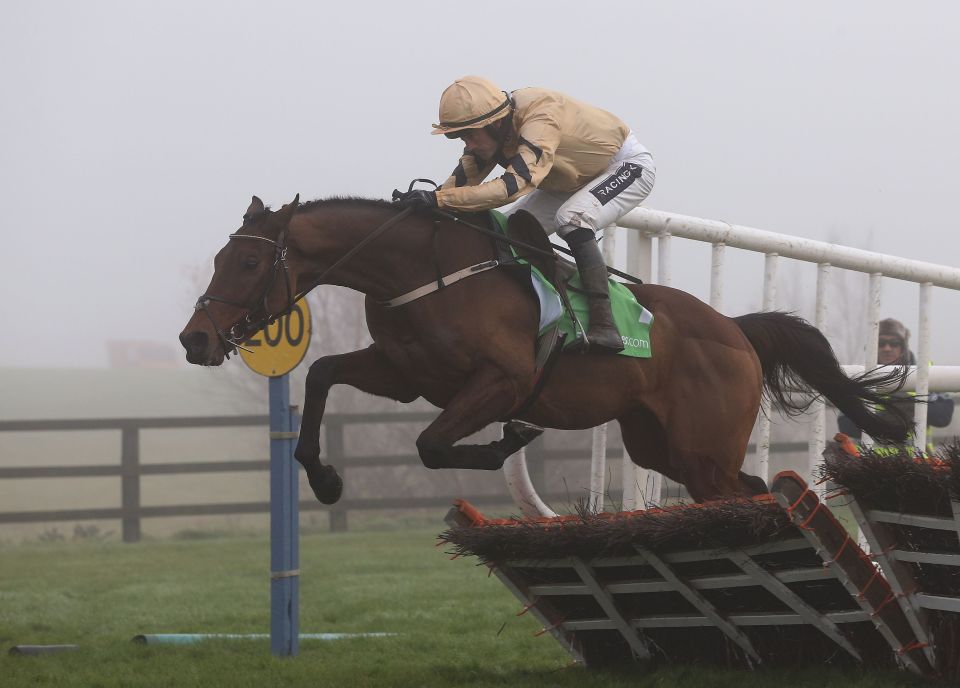  Nichols Canyon picked up his last Grade 1 success in the Morgiana Hurdle