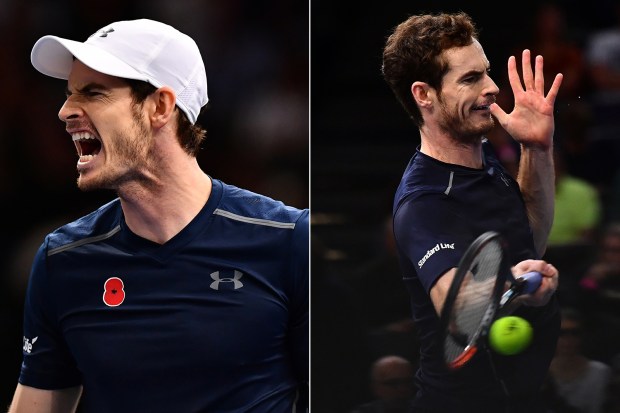 Andy Murray No 1 in the world