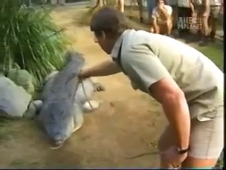  Father Steve Irwin pictured with Monty back in the 1990s