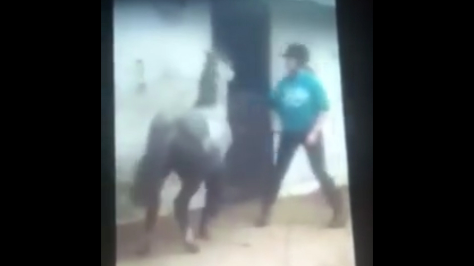  The horse frantically tries to get away from the girl, who keeps whipping it