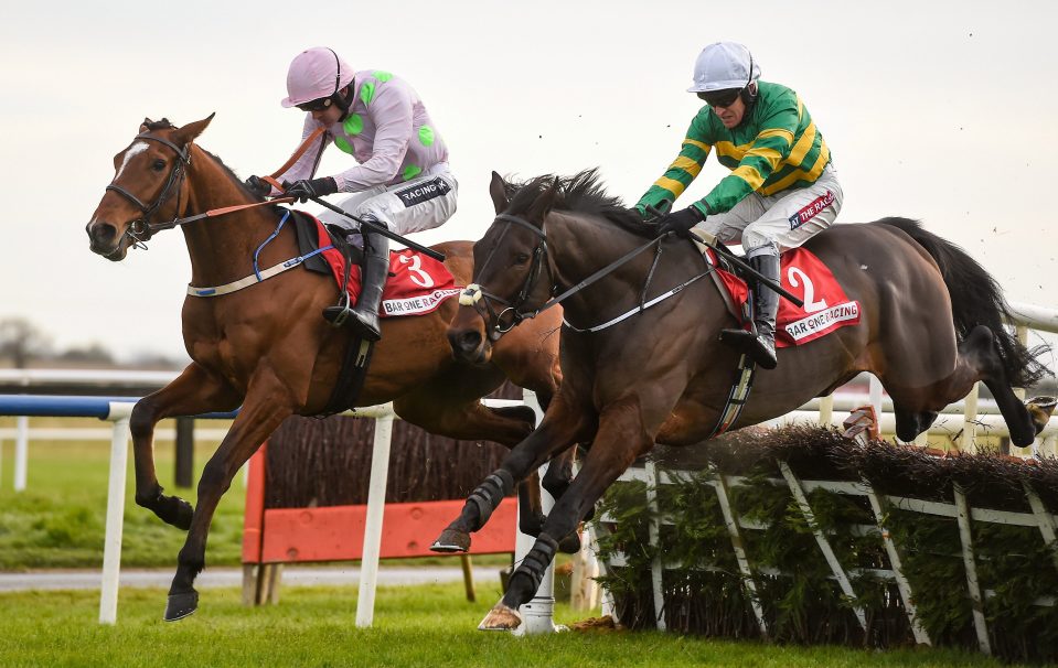  Landofhopeandglory is favourite for the Triumph Hurdle