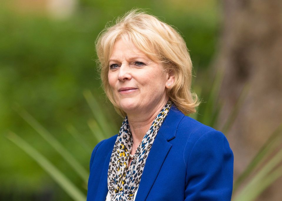 Police are investigating the tweet sent to Anna Soubry