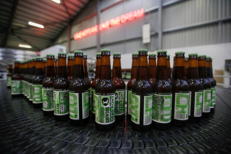  Crowdfunders have helped grow promising British businesses like Brewdog