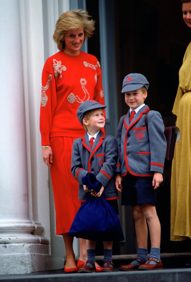  A young Prince Harry, with brother William and mother Diana