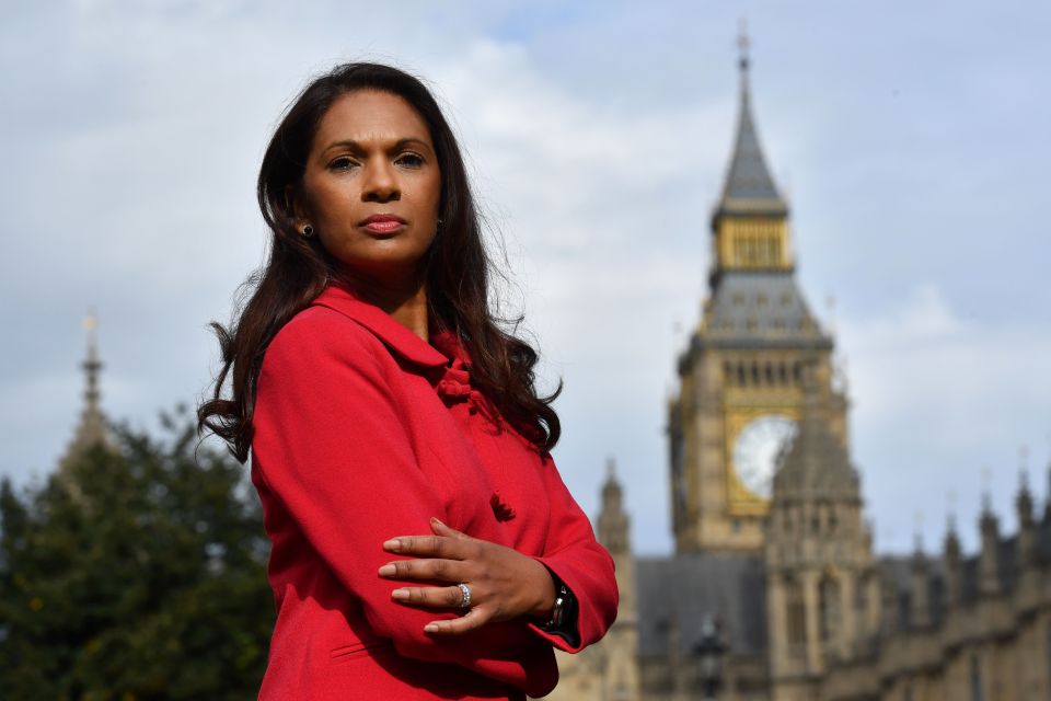  Wealthy 'Wrexiteers' led by investment manager Gina Miller are trying to stall Brexit by insisting parliament must approve article 50