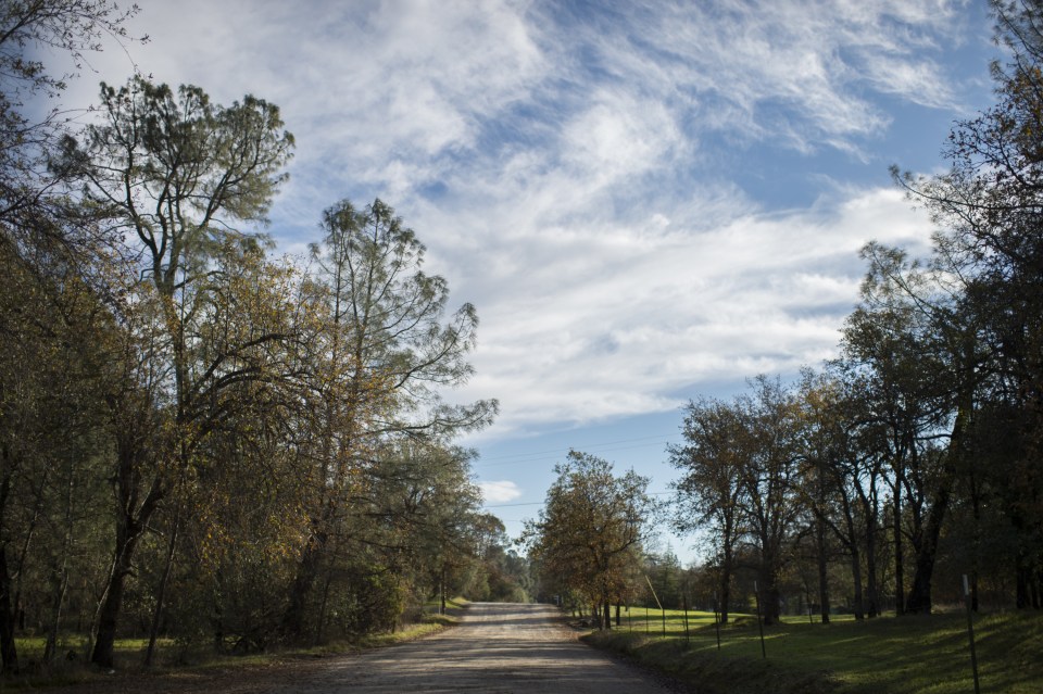 Sherri was believed to have been abducted while jogging along the Old Oregon Trail in Redding — the same road her friend Tera Smith disappeared from aged 16 in 1998