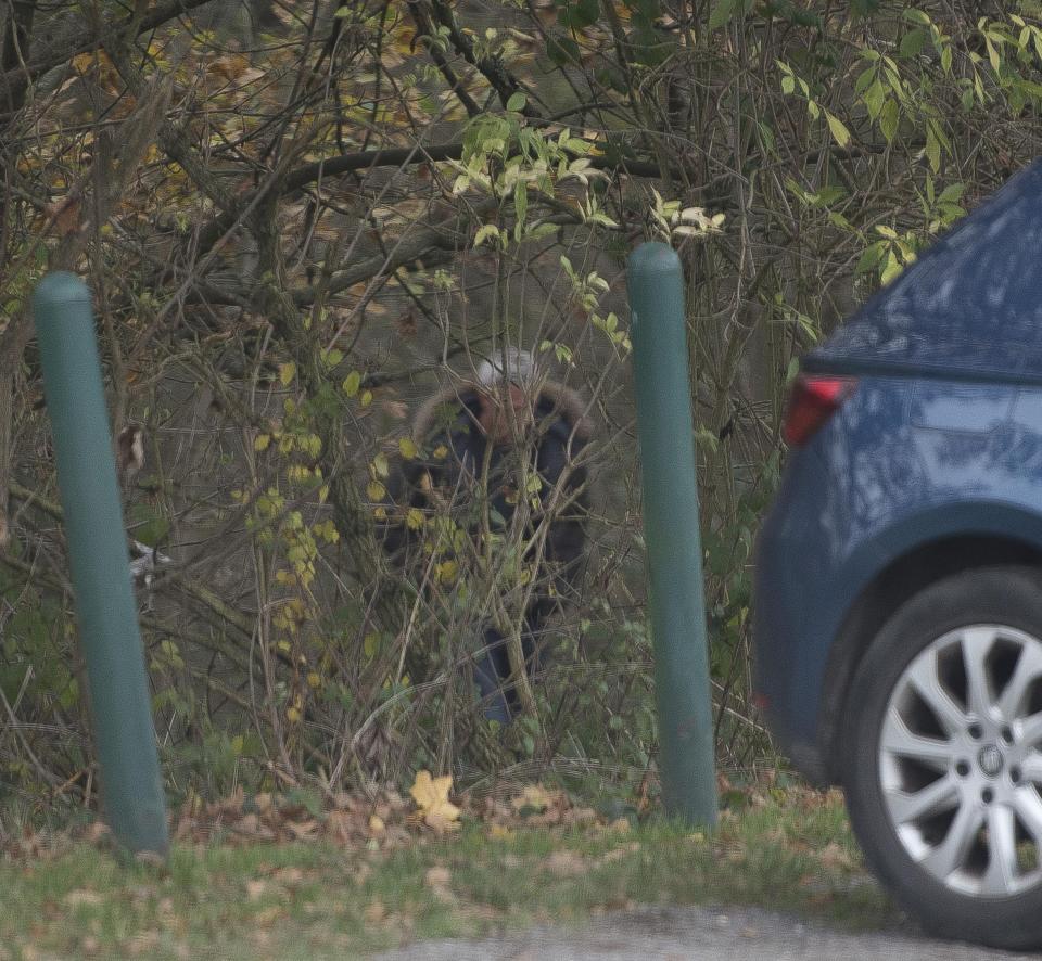  Thursday . . . Beeb sports pundit was seen disappearing into the bushes