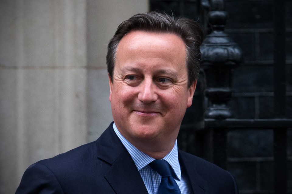  Ex-PM David Cameron passed a law to ensure Britain spends 0.7 per cent of its economic output helping other nations