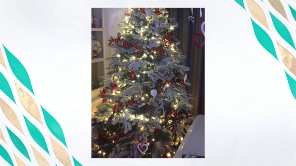  Holly previously shared a picture of the tree she already put up