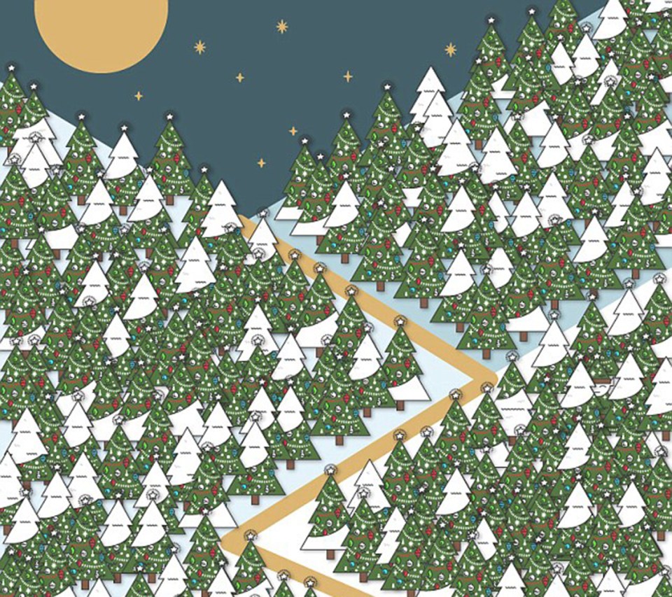  Can you find the Elf hiding in this festive scene?