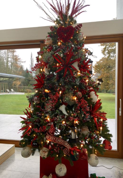  Koeman originally posted this picture of his Christmas tree