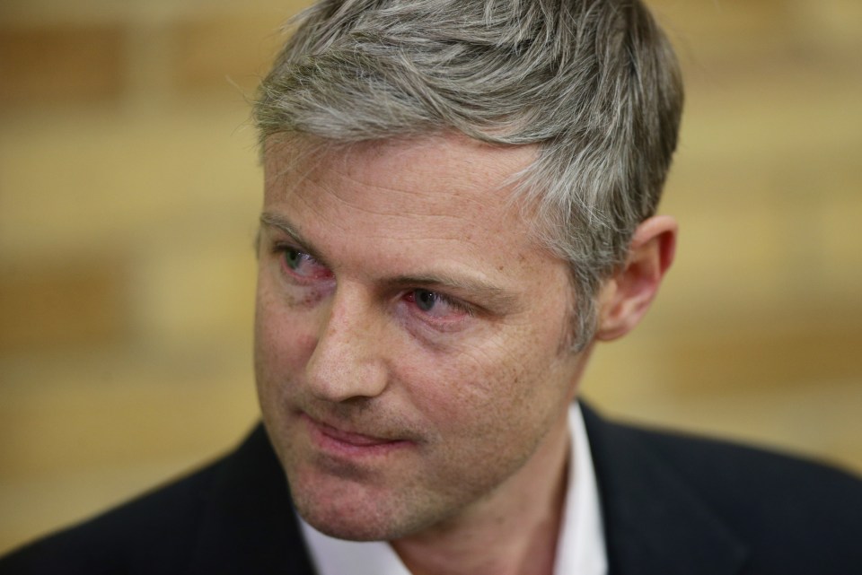 Zac Goldsmith lost the by-election after standing as an independent