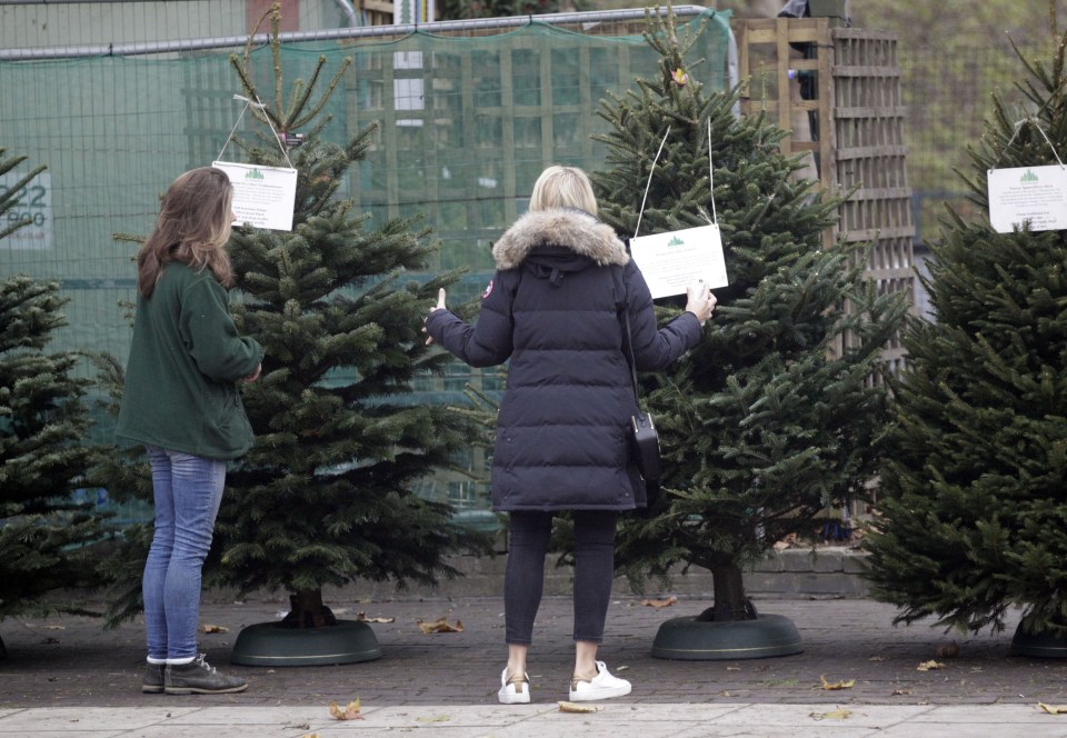  She was seen heading to a venue selling Christmas trees