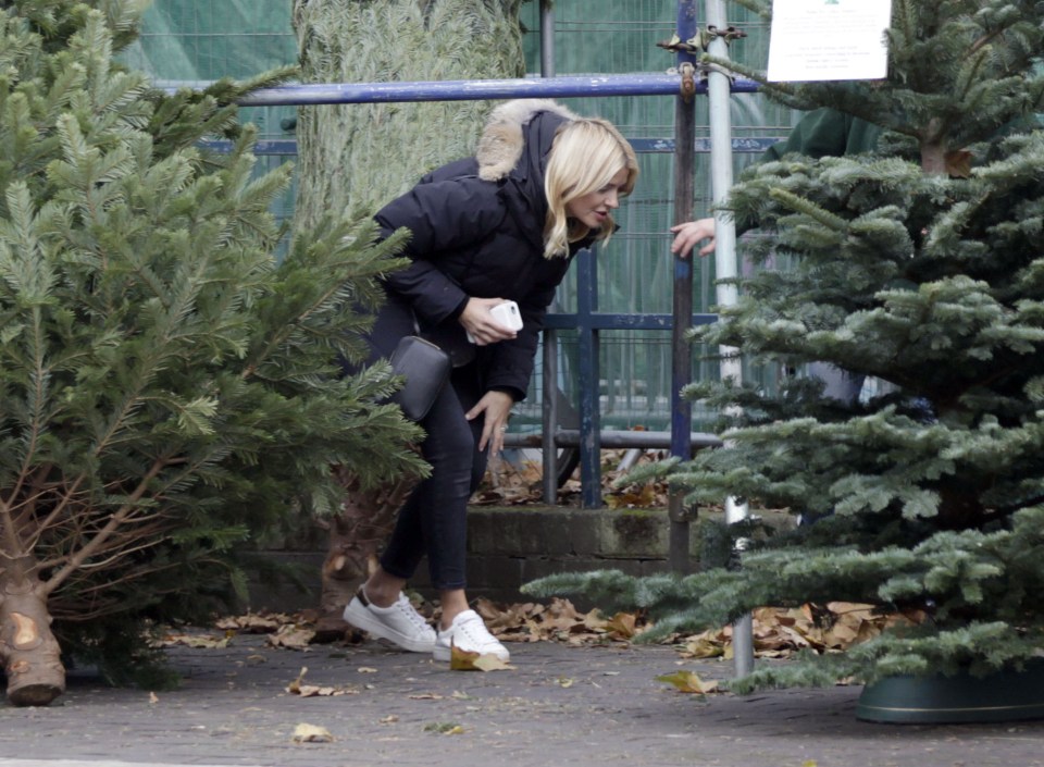  She was browsing the trees and Christmas decorations