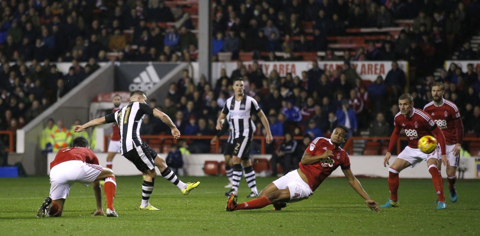 Matt Ritchie swept home against the run of play for Toon