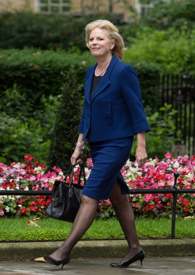  On the march . . . pro-EU MP Anna Soubry claims Tories will support Labour's motion in the Commons