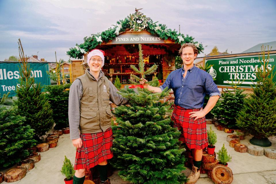  Owners of Pines and Needles owners Sam and Josh Lyle give the stars’ trees a bauble rating out of five