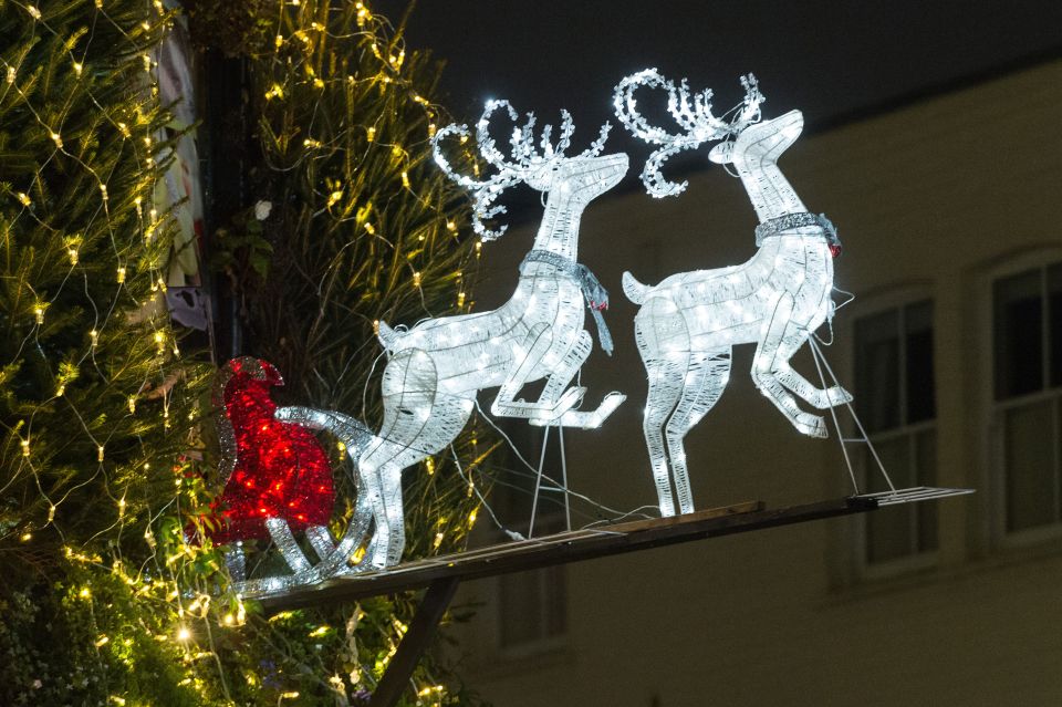  Illuminated reindeer prance on the side of the building