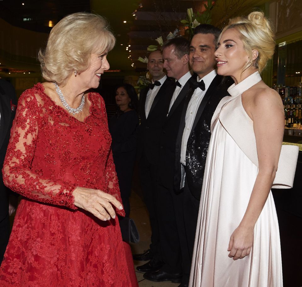  They also met Lady Gaga and Robbie Williams at the Royal Variety Performance this week