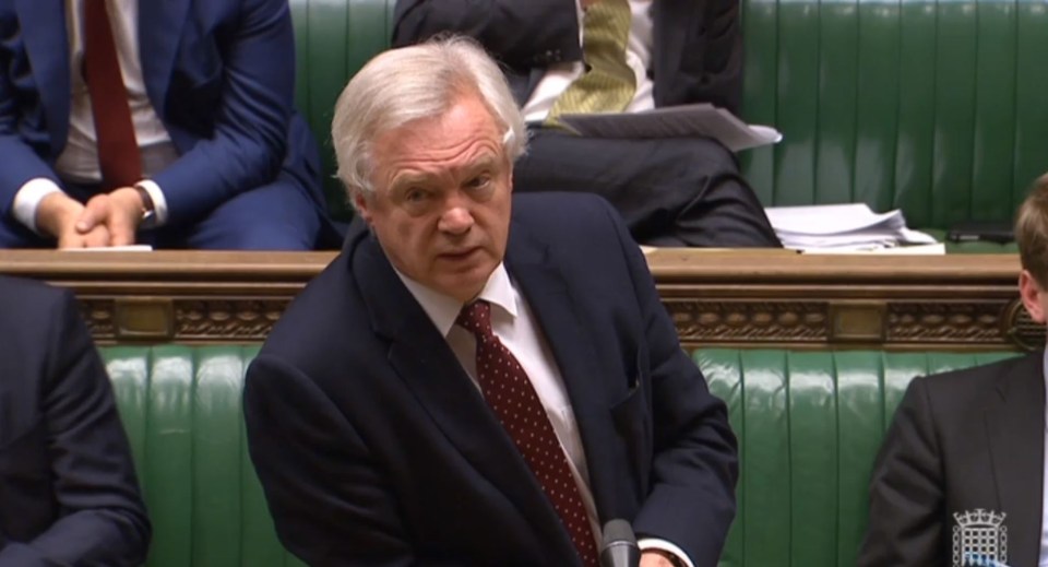  David Davis said that the Government would not lay out the full strategy as to not give the EU advance notice of their plans