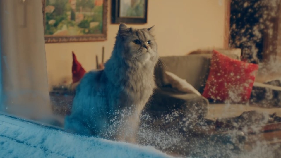  The clip even features a naughty cat, similar to Mog from Sainsbury's ad last year