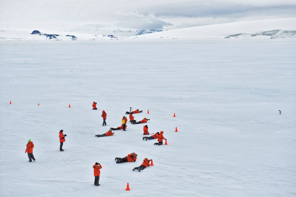  Sisse Brimberg's ecotourists set up behind orange safety cones to photograph a lone Adélie penguin waddling on the ice in the Weddell Sea, Antarctic Sound