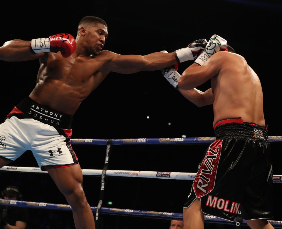  Joshua looked imperious once again as he swept aside Eric Molina in three rounds