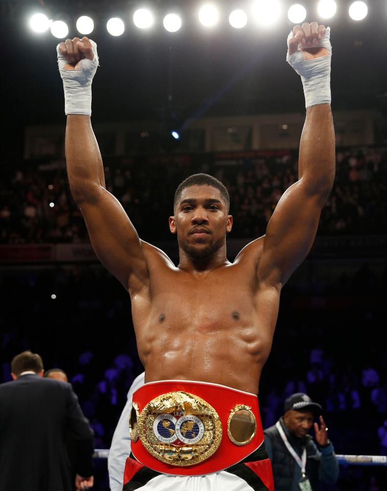  ANTHONY JOSHUA V WLADIMIR KLITSCHKO: IBF champ Joshua, with 18 pro fights to his name, takes on two-time world champ Klitschko at Wembley Stadium on April 29.