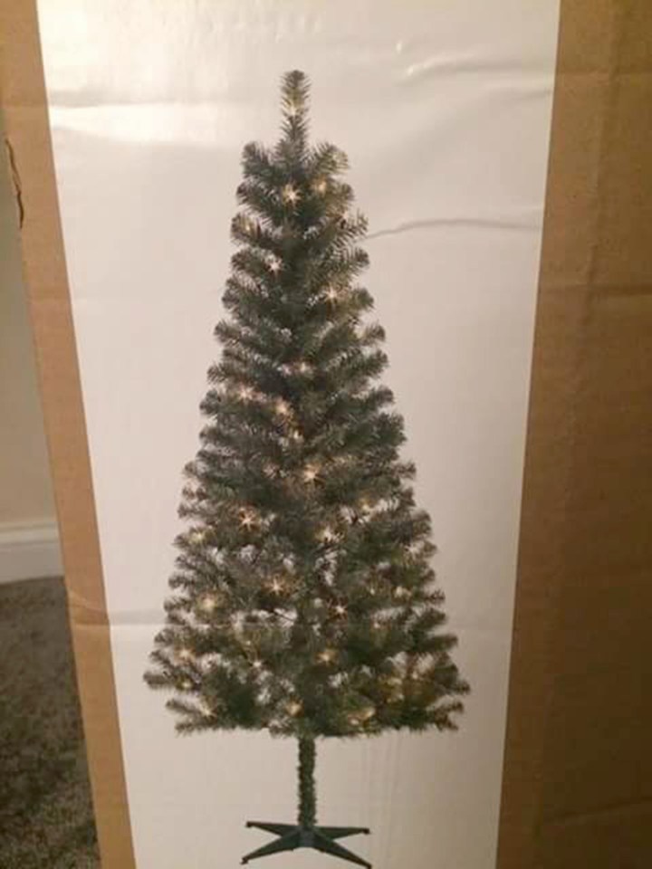  This is what the box promised Zoe's Christmas tree would look like...