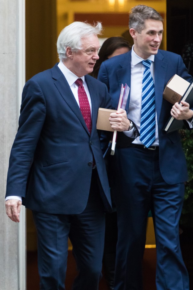  Brexit Secretary David Davis and Chief Whip Gavin Williamson with their gifts outside No10