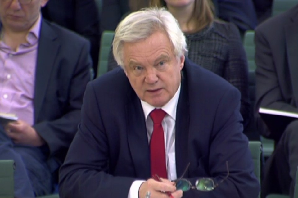  British Secretary of State for Exiting the European Union (Brexit Minister) David Davis