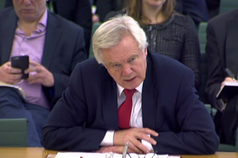  The public don't know what they think about David Davis, the Brexit secretary