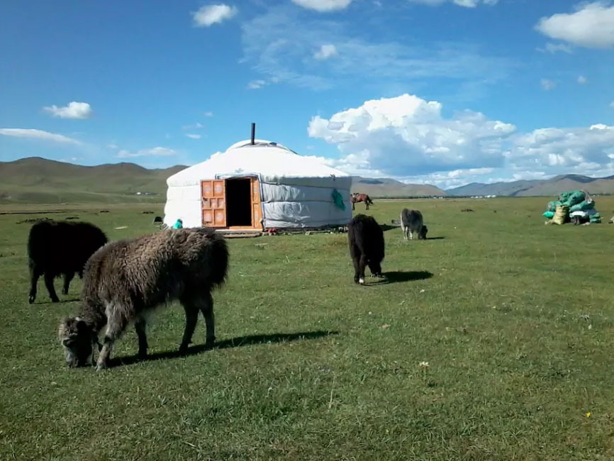  This yurt belongs to a nomadic Mongolian family