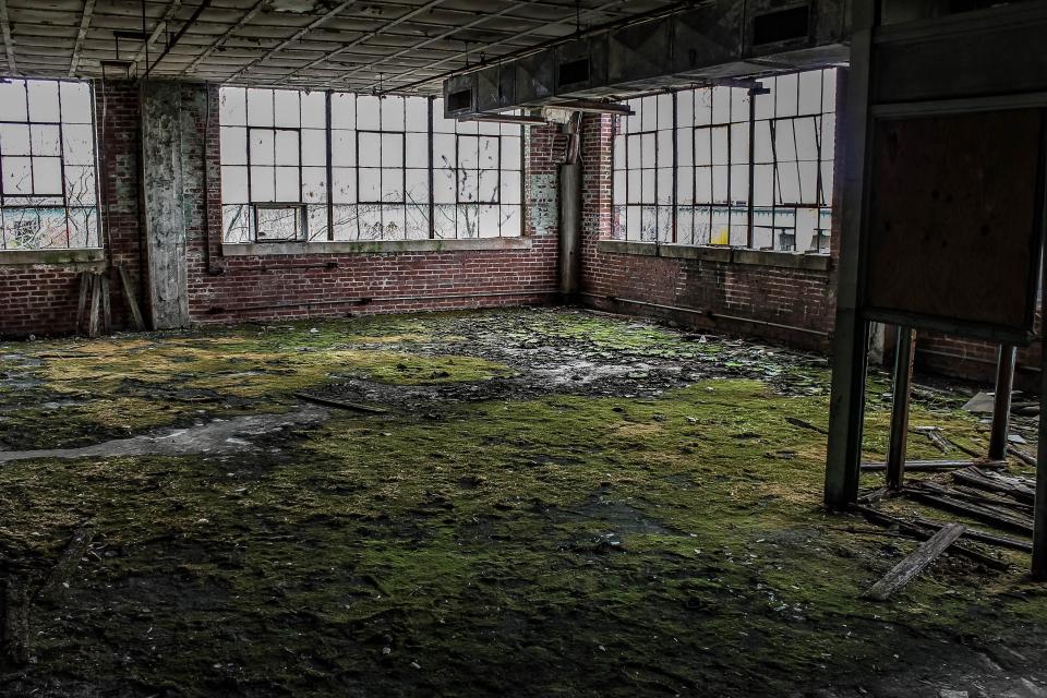  Moss takes over the floor of one of the factory's larger rooms